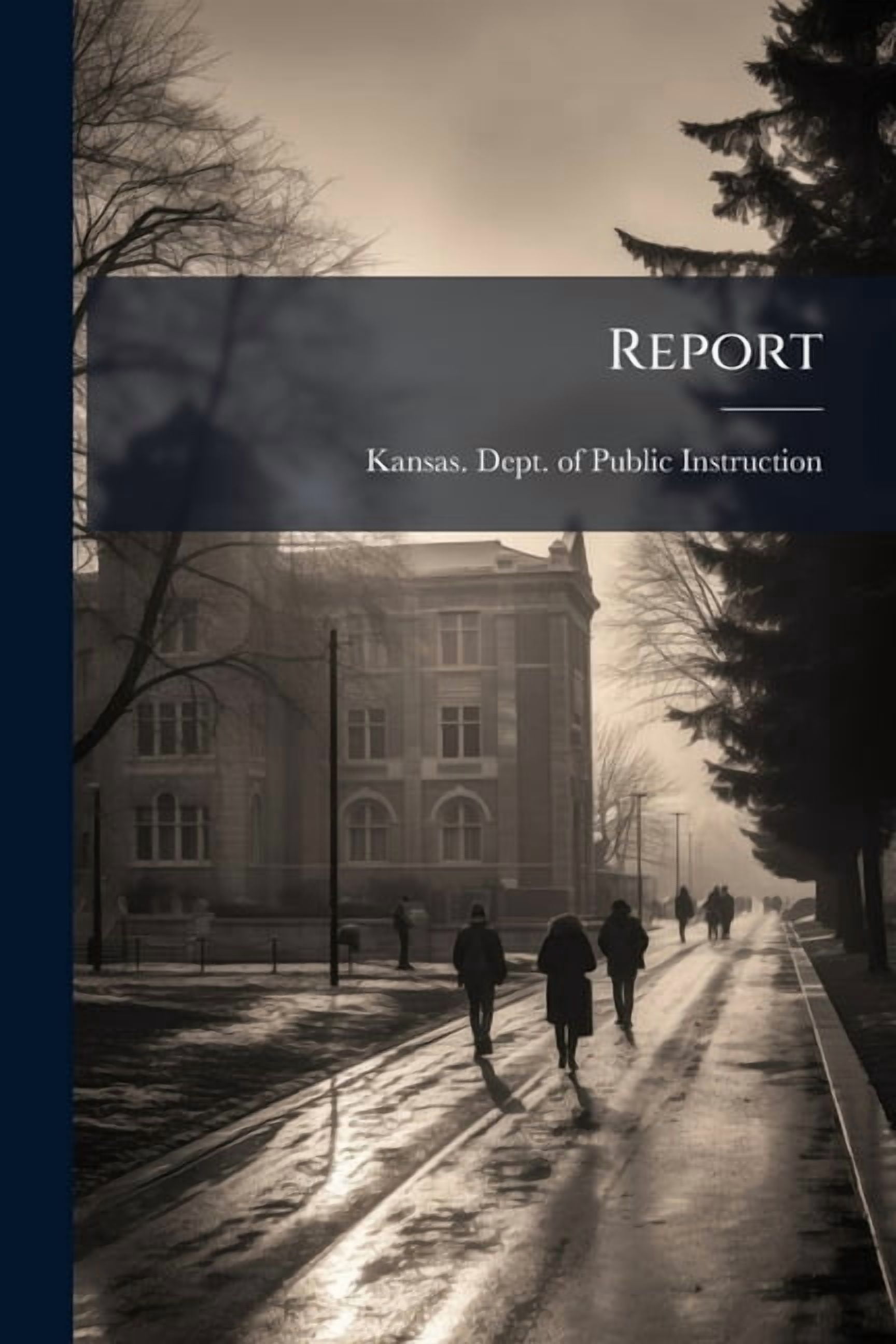 Report, (Paperback)