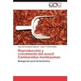 thumbnail image 1 of Reproduccion y Crecimiento del Acocil Cambarellus Montezumae (Paperback), 1 of 1