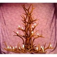 thumbnail image 1 of Reproduction Antler Elk Cascade 16 Light Sockets Chandelier with 6 ft. Rustic Bronze Chain - Large, 1 of 1
