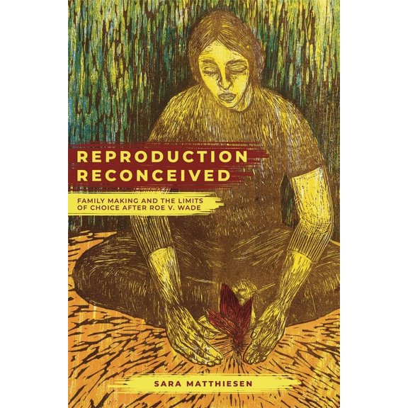 Reproductive Justice: A New Vision for t Reproduction Reconceived: Family Making and the Limits of Choice After Roe V. Wade Volume 5, (Paperback)