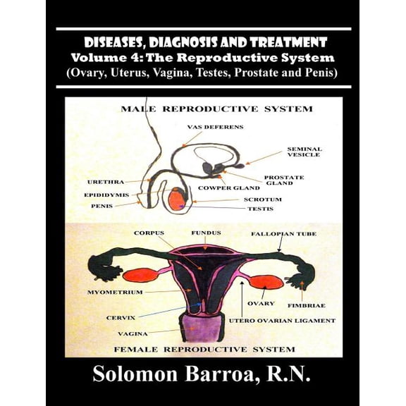 Reproductive System: Diseases, Diagnosis and Treatment (Paperback)