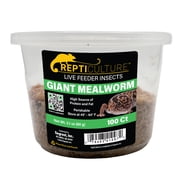ReptiCulture Giant Mealworm 100 ct