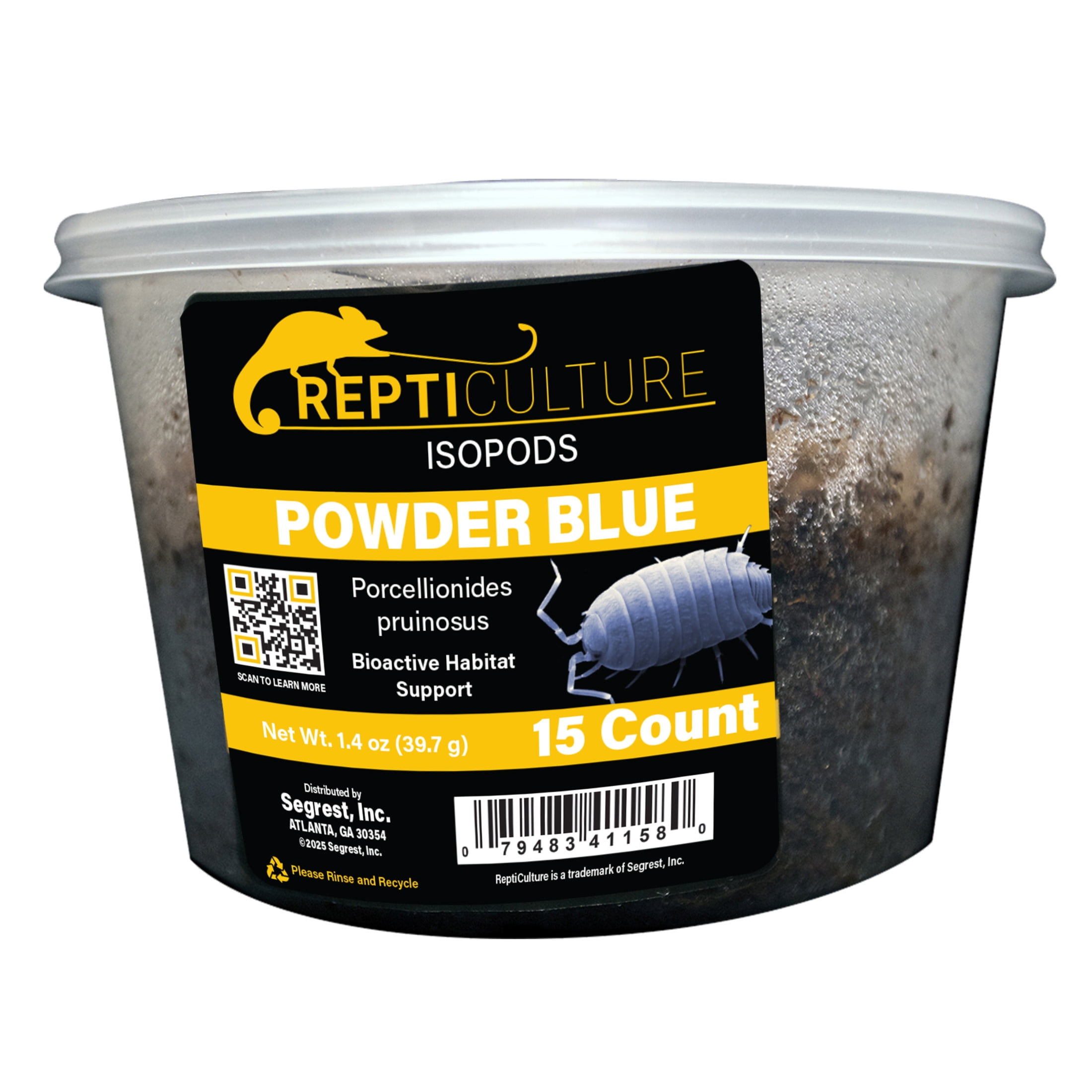 ReptiCulture Powder Blue Isopod 15 ct