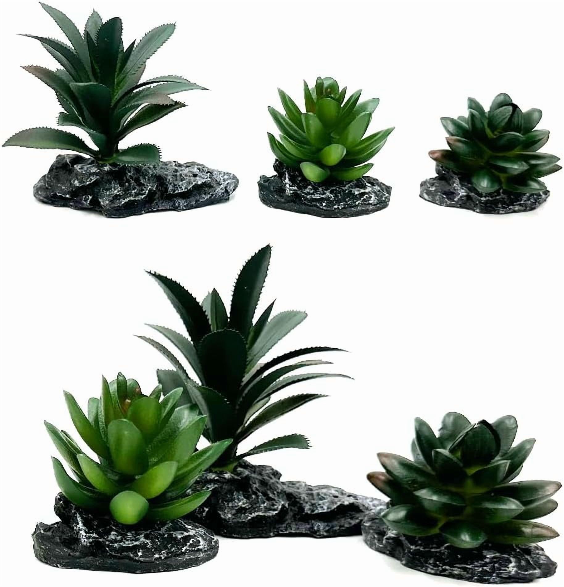 Reptile Artificial Plants Succulent Terrarium Decor Desert Rainforest Plant Lizard Beard Chameleon Gecko Snake Amphibious Sea Turtle Tank Accessory