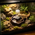 thumbnail image 1 of Reptile Automatic Water Dispenser, Self-Filling Terrarium Water Bowl Pet Drinking Feeder for Lizard Snake Small Reptiles, 1 of 6
