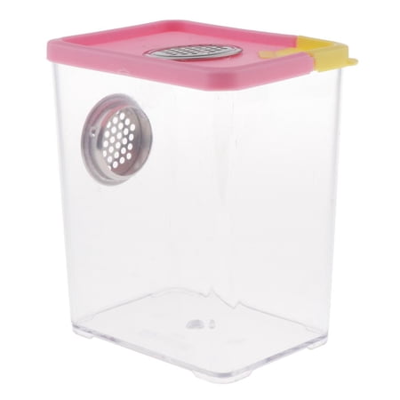 Reptile Beetle Hatchery Feeding Breeding Box Tank