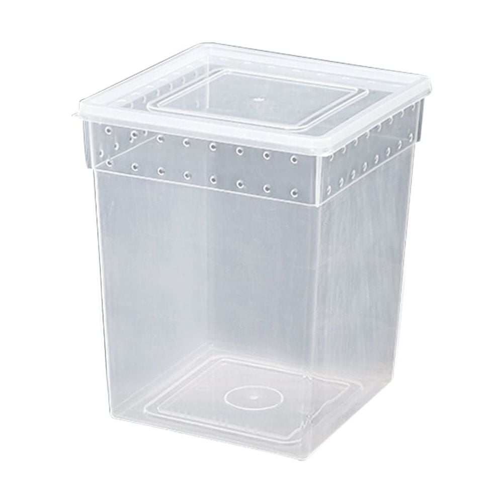 Reptile Box Climbing Pet Feeding Container Special Transparent Breeding
