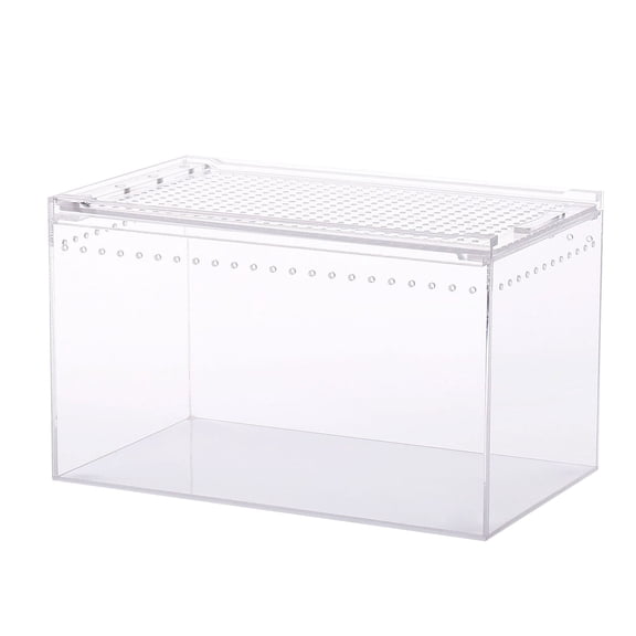 Reptile Box Feeding Small Pet Horned Spider Lizards Snail Snake Clear Designed Box Silkworms Snake House