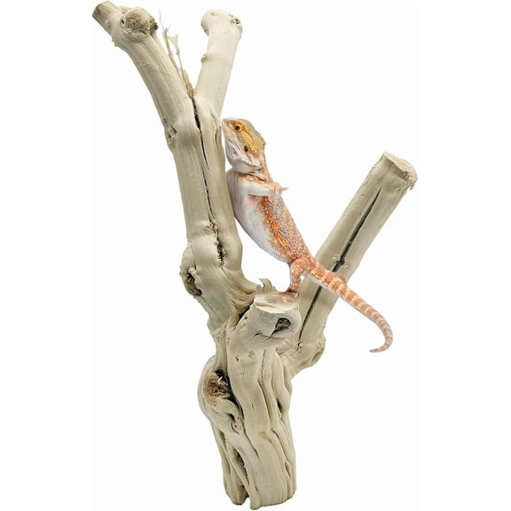 Reptile Branches for Climbing Natural Snake Climb Branch Extra Large Wood Forest Tree Trunk Decor Lizard Habitat Terrarium Decorations for Bearded Dragon Geckos Chameleon Frog