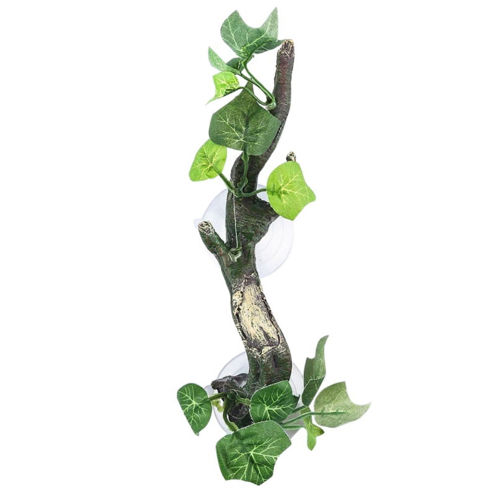 Ramas Para Terrario - 2 Unidades Con Ventosas - Reptiles/Anfibios