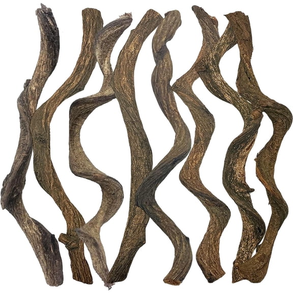 Natural Forest Branch Terrarium Habitat Decoration Lizard Climbing Tree Branch for Bearded Dragon Gecko Snake Frog Chameleon Spider 8PCS