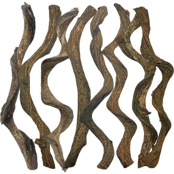 Reptile Decor Natural Forest Branch Terrarium Habitat Decoration Lizard Climbing Tree Branch for Bearded Dragon Gecko Snake Frog Chameleon Spider 8PCS