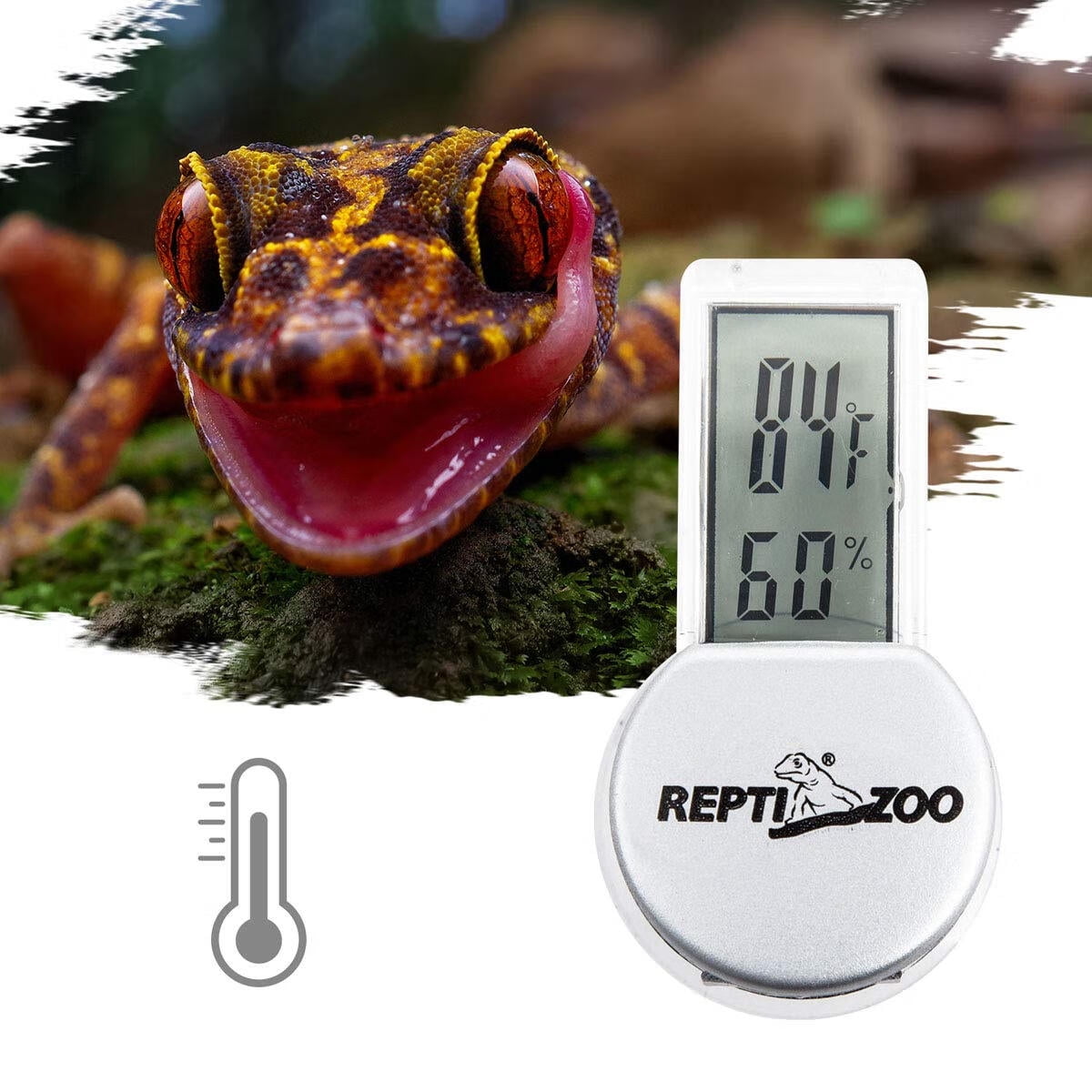 Neptonion Aquarium Thermometer LCD Digital Aquarium Thermometer with  Suction Cup Fish Tank Water Terrarium Temperature for Fish and Reptiles  Like
