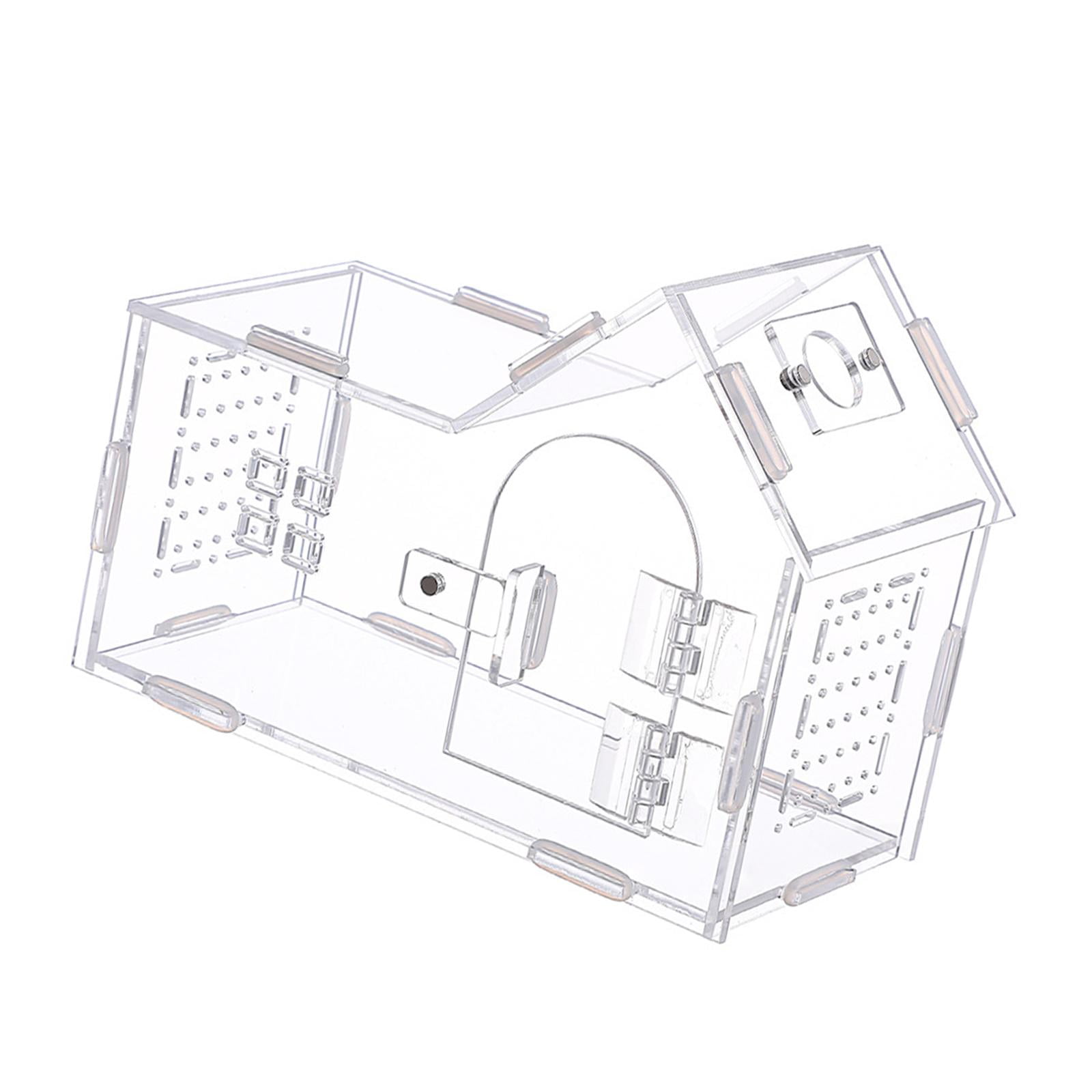 Reptile Feed Box Mini Pet Breeding Cage Animal Habitat Ventilated Acrylic for Gecko Turtle Spider Home Use