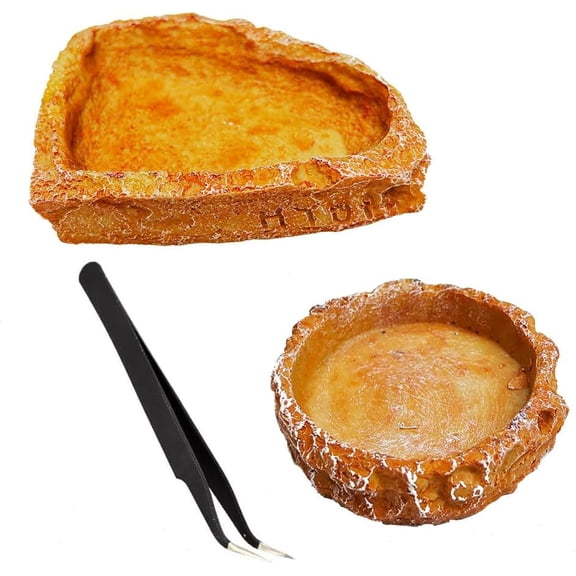 Reptile Feeder Food and Water Dish with Feeding Tweezers Tong Set for Leopard Gecko Lizard Frog