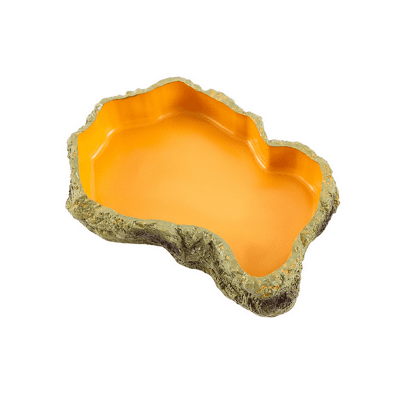 Reptile Feeding Bowls Terrarium Plate Feeder Amphibian Bowl for Frog Tortoise Bearded Dragon Turtle,M