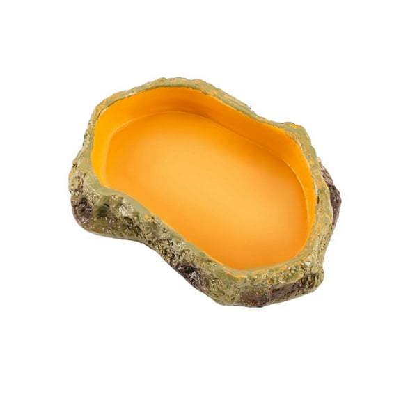 Reptile Feeding Bowls Terrarium Plate Reptile Feeder Amphibian Feeding Bowl for Frog Tortoise Bearded Dragon Turtle,S