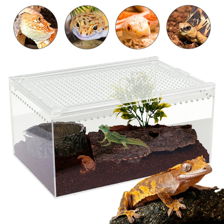 Reptile Feeding Box Portable Small Snake Terrarium Habitat Mini Pet Breeding Cage Hatching Container Transparent Lizard Houses for Tarantula Spider