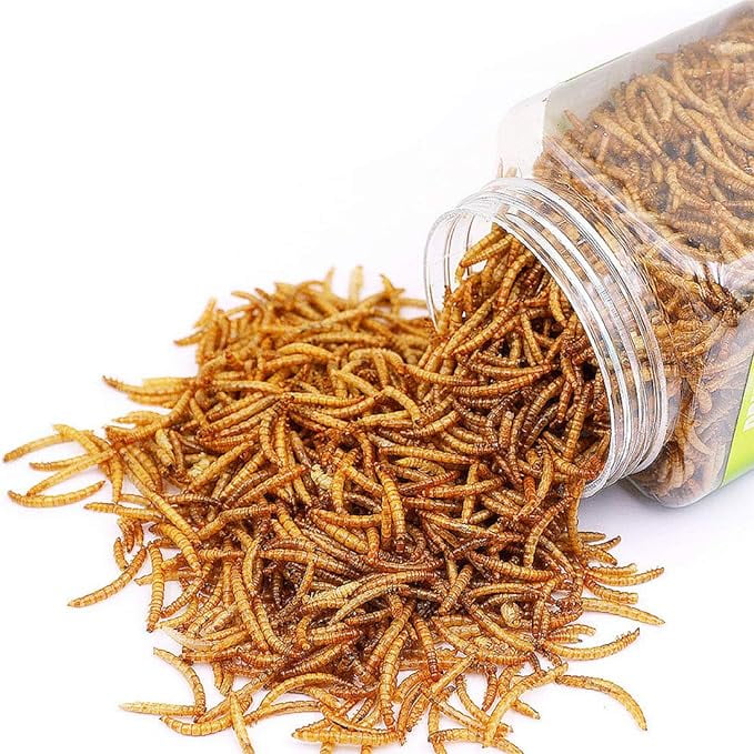 Reptile Food Dried Mealworms Pet Worms Food for Bearded Dragon, Lizard