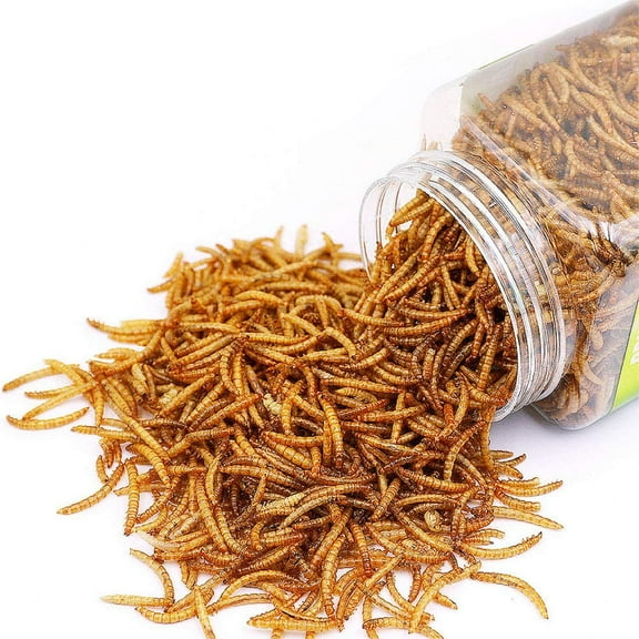 Reptile Food Dried Mealworms Pet Worms Food for Bearded Dragon, Lizard, Turtles, Chameleon, Monitor, Frog, Sugar Glider, Chickens, Ducks, Wild Birds, Fish, Hamsters and Hedgehogs (3.5 OZ)