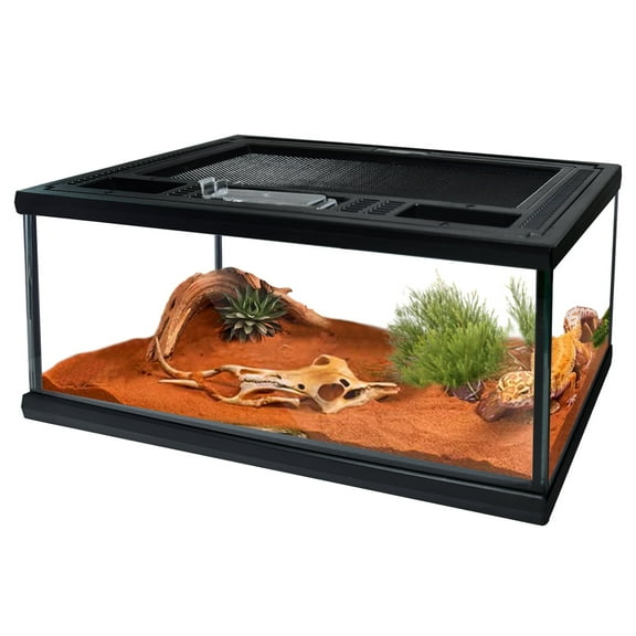 Reptile Glass Terrarium Tank 12"*8"*6",Small Cage Full View with Top Screen Ventilation Habitat Enclosure for Tarantula,Frog,Gecko,Insects,Spiders,Snakes,Hermit Crab,Turtle,Ball Python