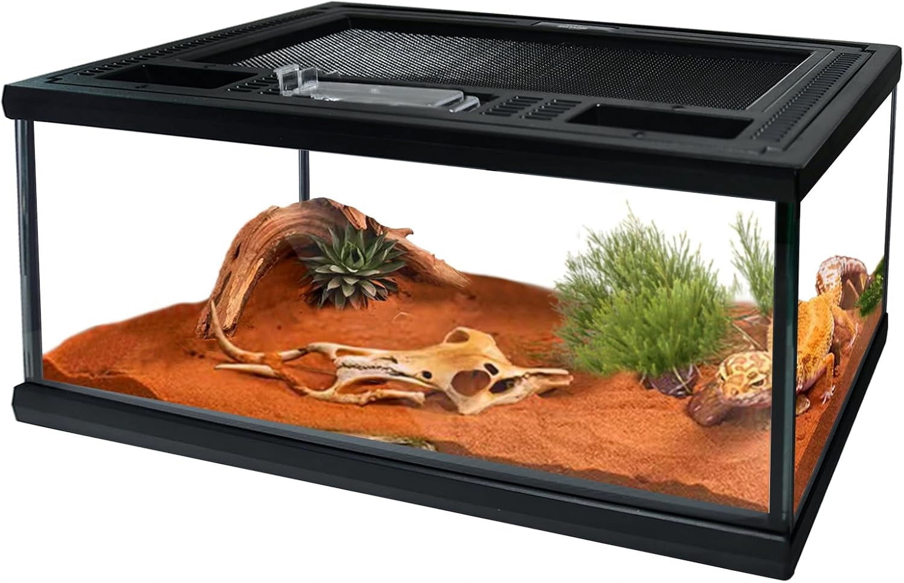 Reptile Glass Terrarium Tank 12