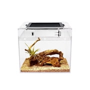 Reptile Growth Mini Reptile PC Terrarium,8x8x7 inch Amphibian Tank Starter Kit Habitat Cage for Insect Fish Tarantula Turtles Jumping Spiders and Small Reptiles