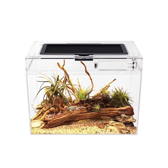 Reptile Growth Mini Reptile Terrarium,12" x 7"x 9" Reptile Tank with Full View Visually Appealingfor InsectFishTarantulaHermit crabJumping spiderIguanaTortoiseLeopard GeckoFrogBearded drago