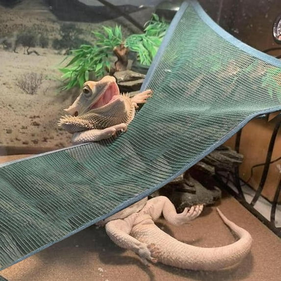 Reptile Hammock Snake with Suction Cup Toy Chameleon Accessories Bearded Dragon Hammock Breathable Mesh Reptile Hammock Green