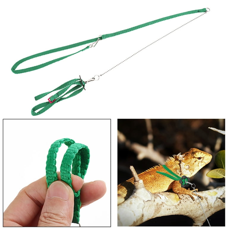 Reptile Harness Lizard Walking Leash Leopard Gecko Leash Reptile Hammock Outdoor Hammock Lizard Leash