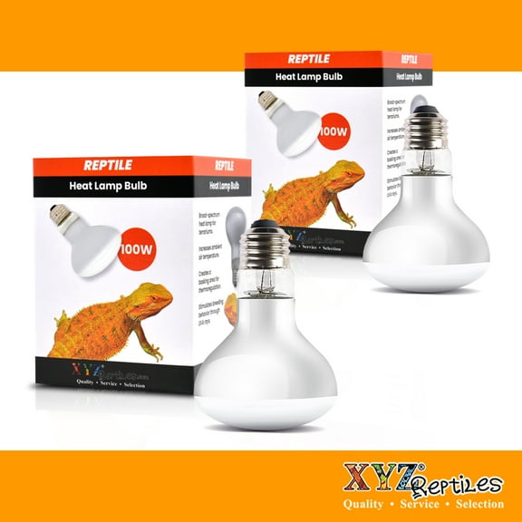 Reptile Heat Lamp Bulb 100 Watt