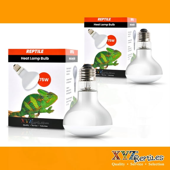 Reptile Heat Lamp Bulb 75 Watt