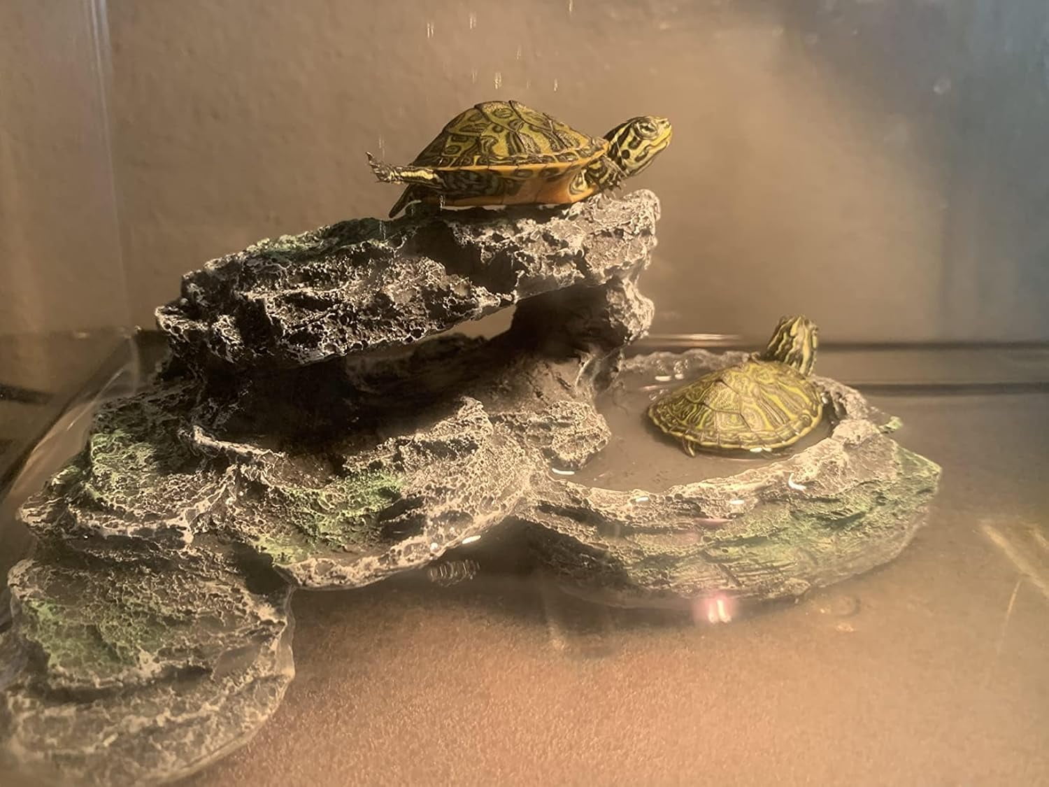Reptile Hide Resin Turtles Dock for Aquarium, Turtle Basking Platform