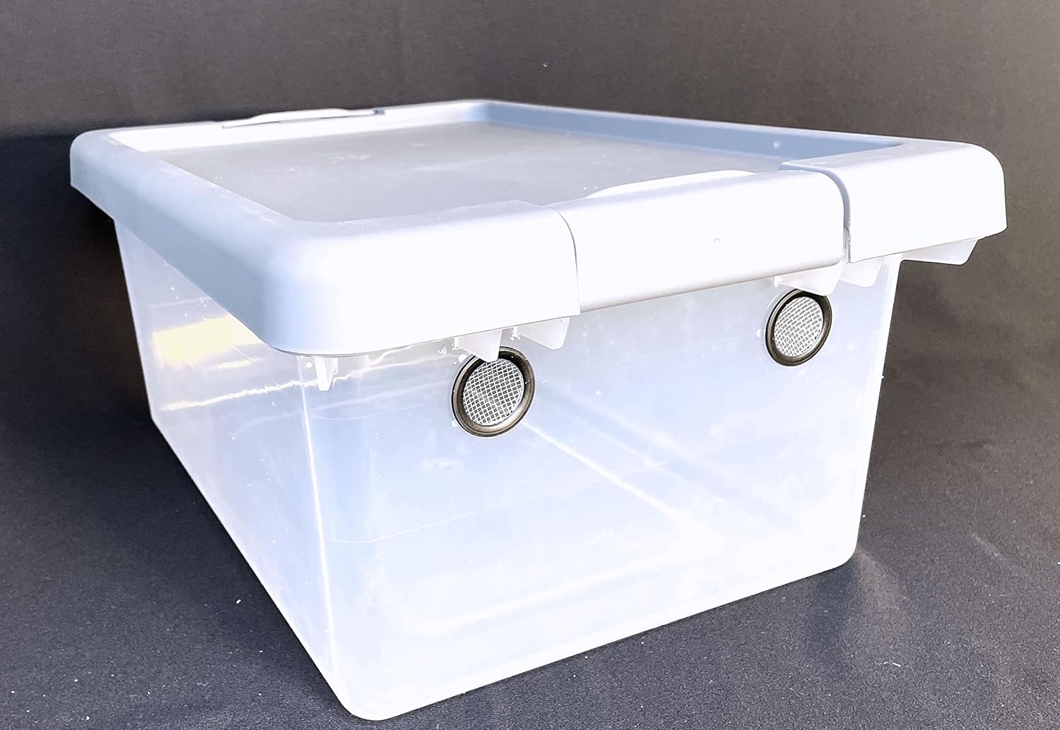 Reptile Isopod Enclosure Vented Terrarium Container 15 Quart Vivarium