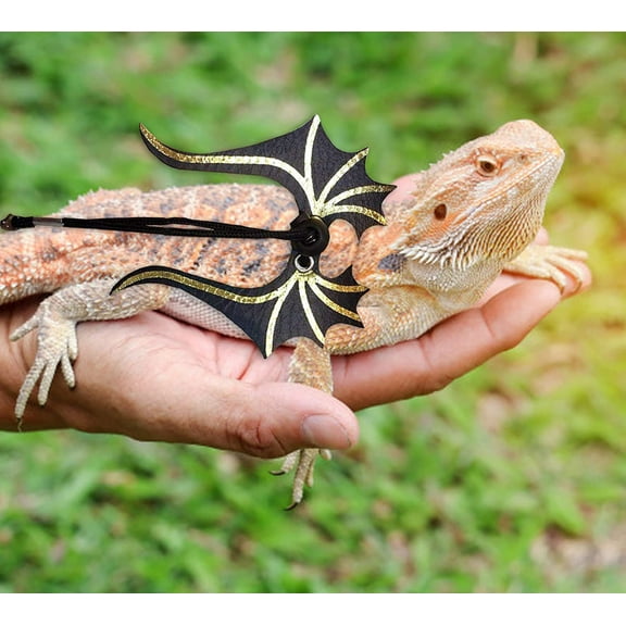 Reptile Leash Harness for Lizard Gecko Turtle Outdoor Walking Strap Pet Leash for Small Exotic Pets, 70 Inch Black