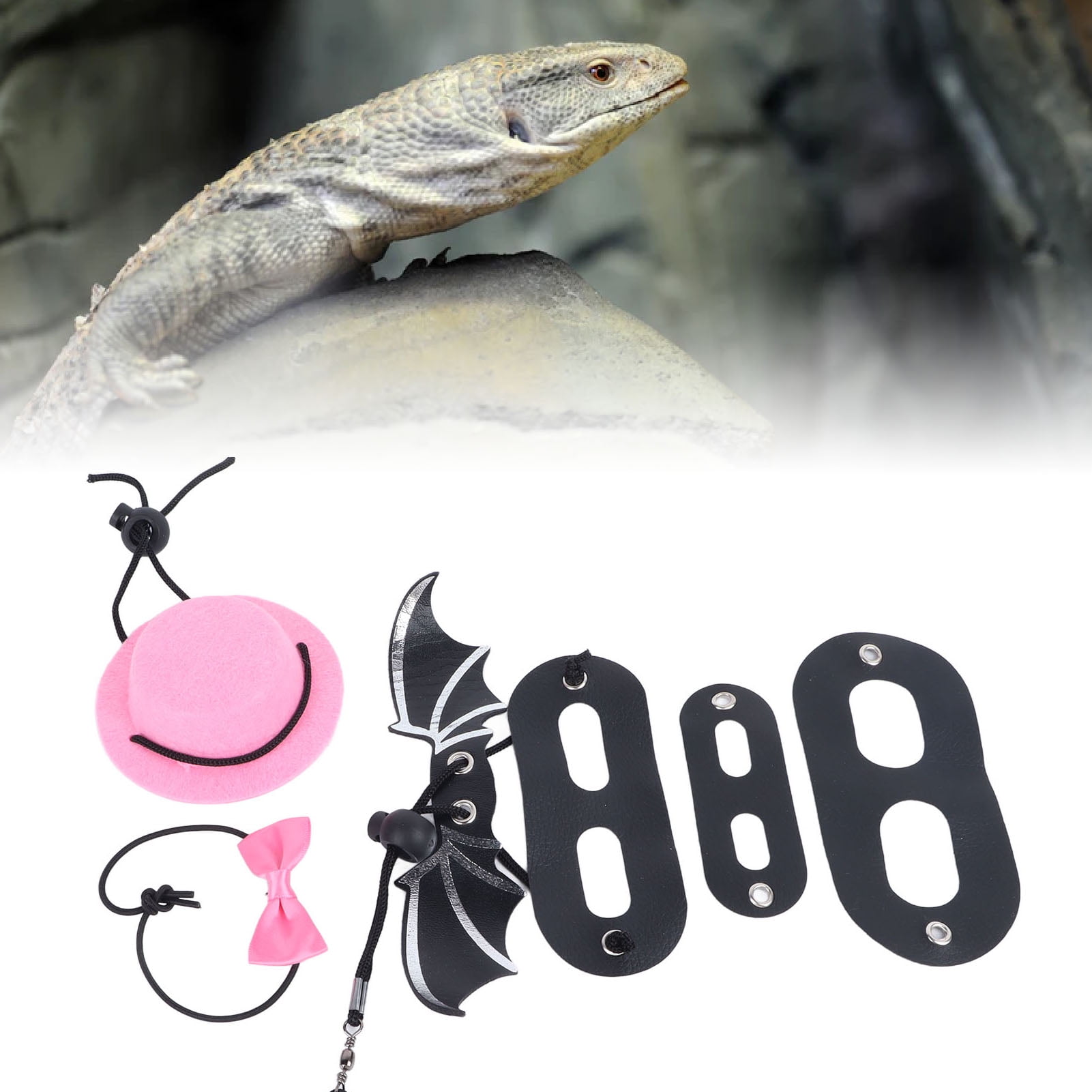 Reptile Leash Outdoor Harness Leash With Bat Bearded Dragon Lizard