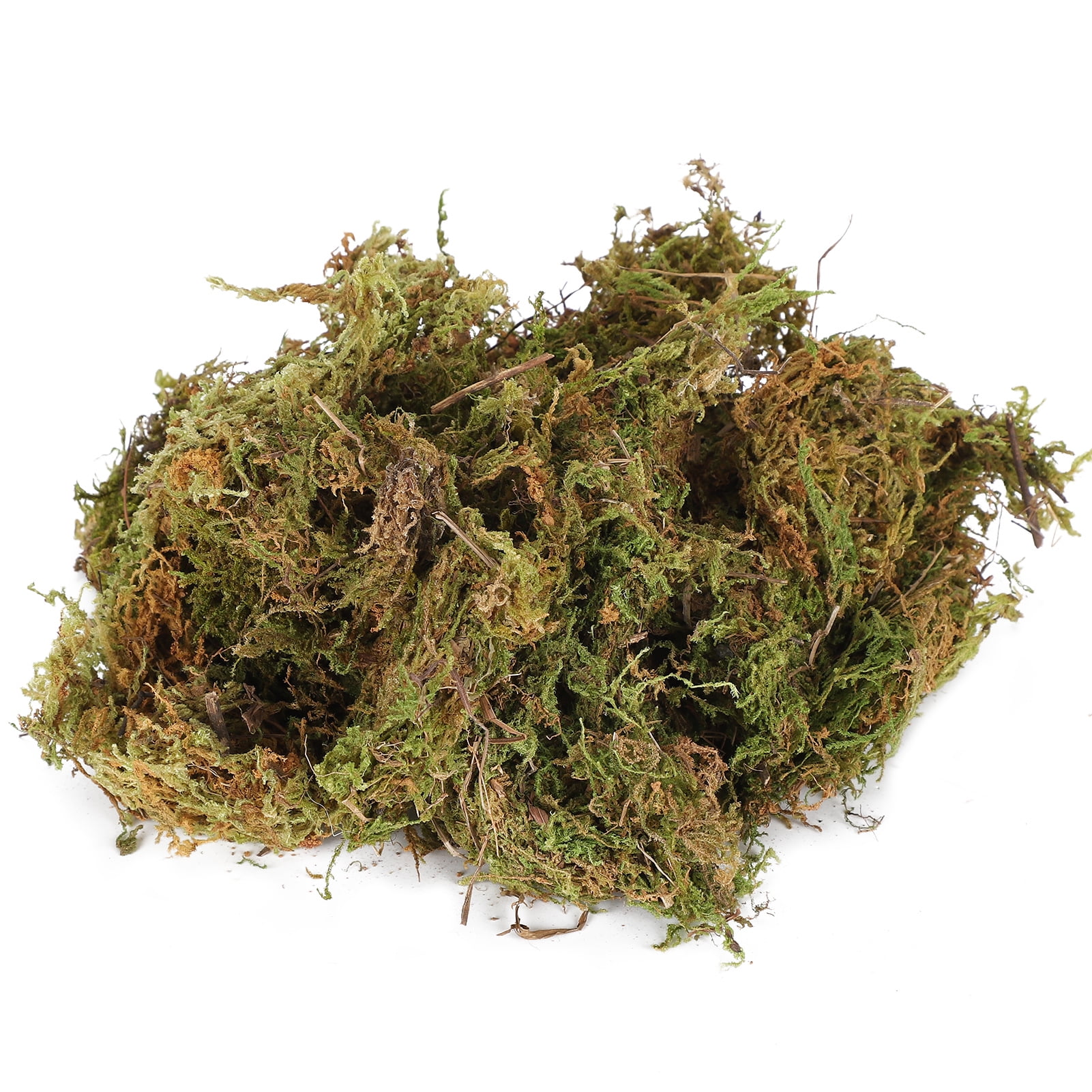 Reptile Moss, Moss For Reptiles, Water Absorption For Pet Reptile