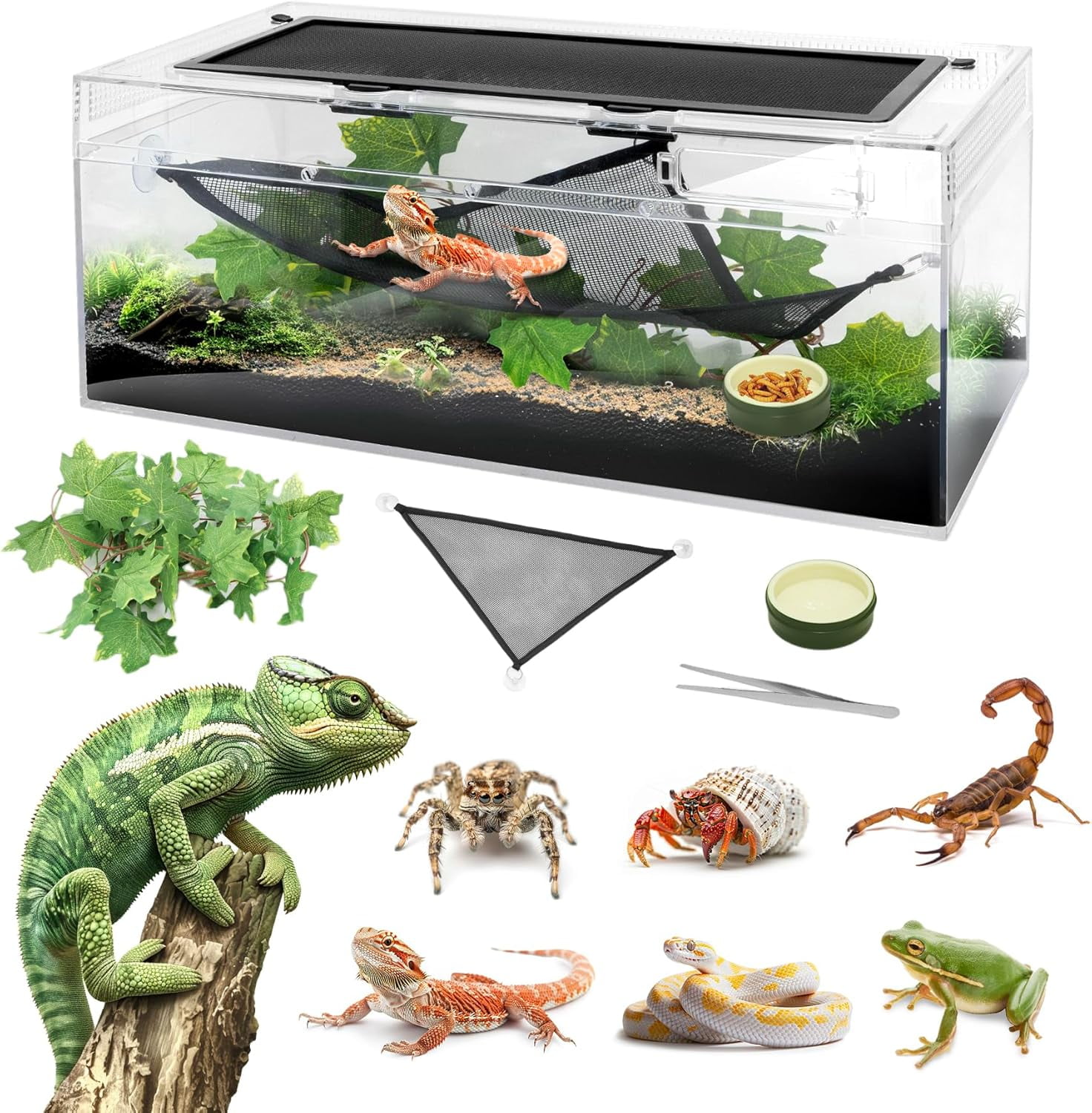 Reptile Starter Kit 20 Gallon SANOSY Reptile Terrarium Amphibian