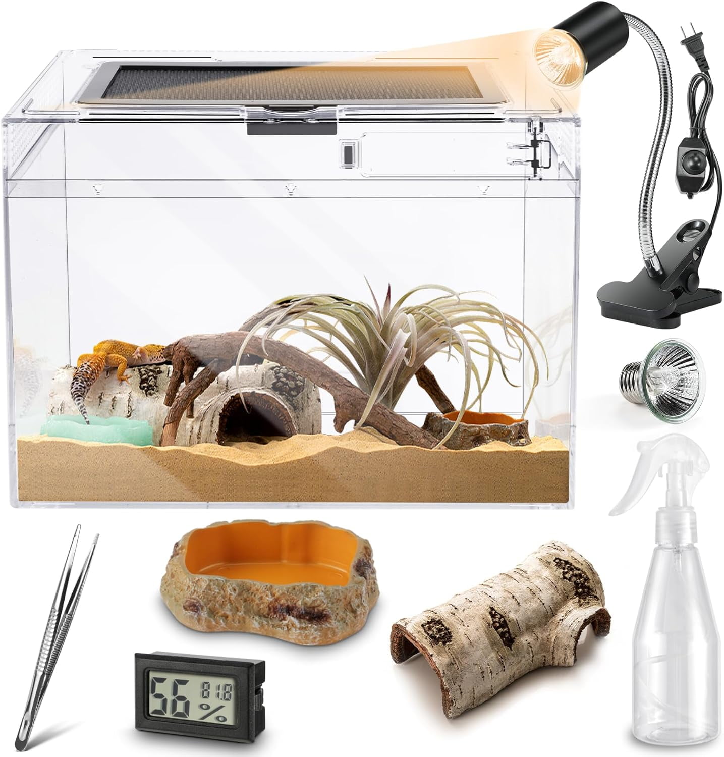 Reptile PC Terrarium,Anti Breakage 15x8x10inch Amphibians Insect Tank ...