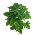 thumbnail image 1 of Reptile Plants Fake Leaves Artificial Lifelike Terrarium Plant for Hermit Crabs Lizards Geckos Snakes Habitat Decor, 1 of 21