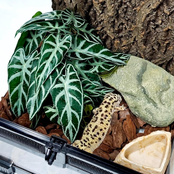Reptile Plants for Terrarium Decor, Ball Python Tank Accessories fit Bearded Dragon Crested Leopard Gecko Lizard Chameleon Snake Frog Tortoise Hermit Crab - Fake Alocasia Black Velvet