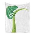 thumbnail image 1 of Reptile Soft Flannel Fleece Blanket, Exotic Grumpy Lizard Holding onto Grass with Curled Tail Jungle Cartoon Camouflage, Cozy Plush for Indoor and Outdoor Use, 60" x 80", Green White, by Ambesonne, 1 of 5