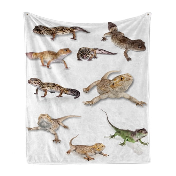 Reptile Soft Flannel Fleece Throw Blanket, Colorful Staring Leopard Gecko Family Image Prehistoric Reptiles Wildlife Print, Cozy Plush for Indoor and Outdoor Use, 50" x 70", Multicolor, by Ambesonne
