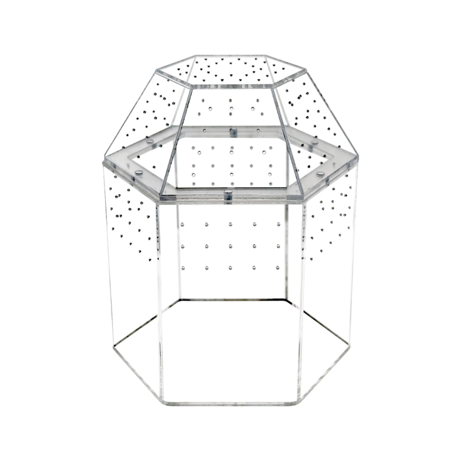 Reptile Tank Tarantula Enclosure Small Breeding Box Lightweight Acrylic Construction Suitable for Display and Desk Decor