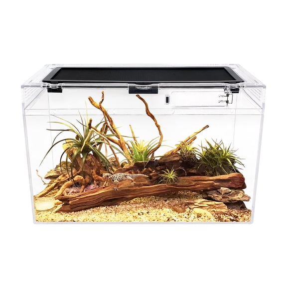 Reptile Terrarium,16" x 8"x 10" Reptile Tank with Full View Visually Appealingfor InsectFishTarantulaHermit CrabJumping SpiderIguanaTortoiseLeopard GeckoFrogBearded Dragon