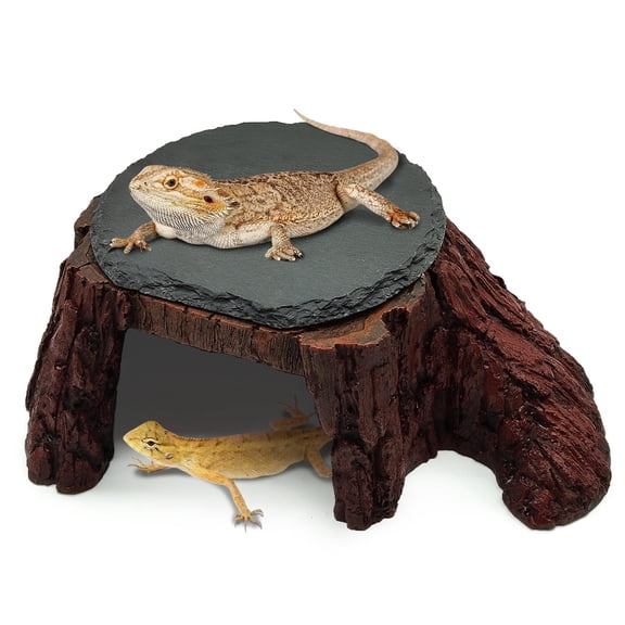 Reptile Terrarium Decor Slate Heat Storage Basking Platform XL