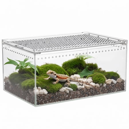 Reptile Terrarium Enclosure, 11.8" x 7.9" x 5.9" Acrylic Tarantula Breeding Box, Transparent Jumping Spider Cage, Insect, Snake Terrarium
