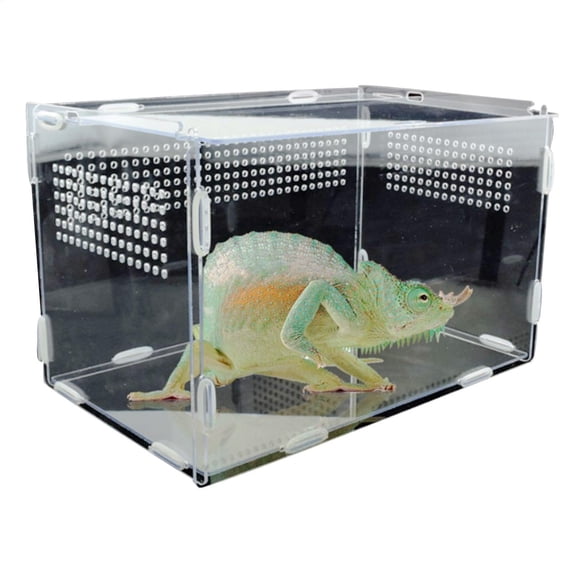 Reptile Terrarium Small Animal Habitat Clear Transparent Enclosure Sturdy Durable Feeding Transport Cage for