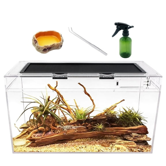 Reptile Terrarium, 20" L x 10" W x 11" H10 Gallonfor Insect,Fish,Tarantula,Hermit Crab,Jumping Spider,Iguana,Tortoise,Leopard Gecko,Bearded Dragon.