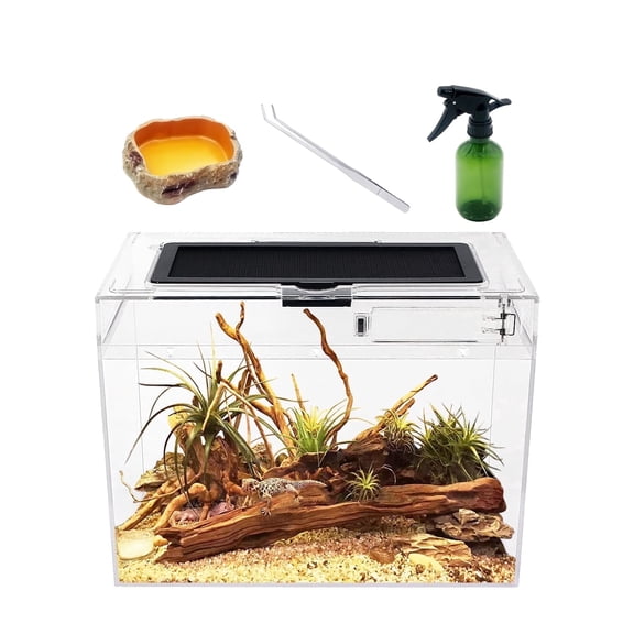 Mini Reptile PC Terrarium Starter Kit Habitat Cage,12x7x9 inch Amphibian Tank ,for Insect,Fish,Tarantula,Turtles,Jumping Spiders and Small Reptiles